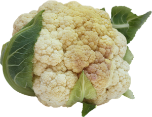 organic cauliflower
