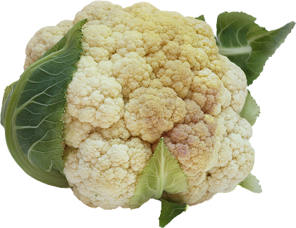 organic cauliflower